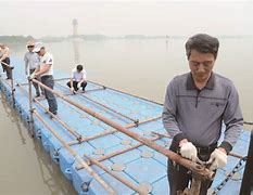 赛地聚焦：国王杯赛前热度飙升；新奥尔良鹈鹕伤情更新；气氛紧张；球队文化再被提及